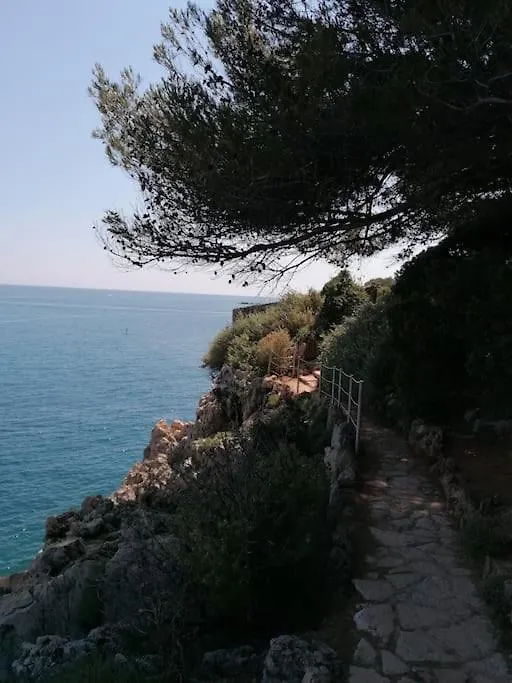 Apartment Charmant Logement Avec Piscine De Copropriete Antibes France